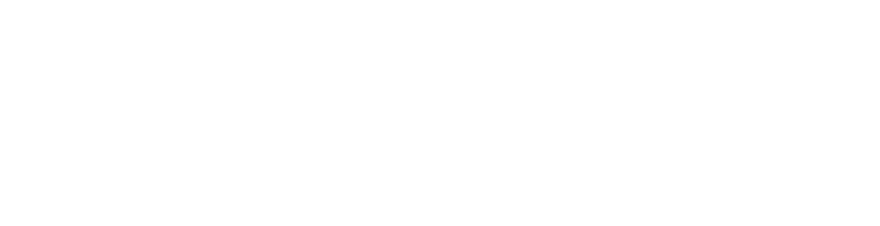 Deepgray Vision